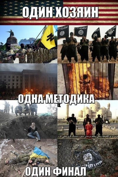 Политотка 5