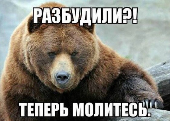 Политотка 5