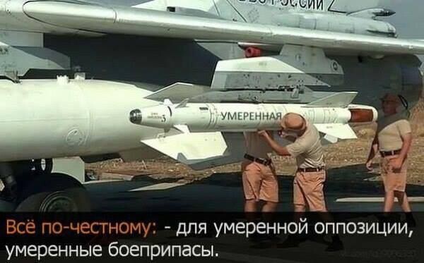 Политотка 5