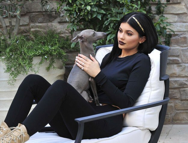 Эта девушка, Кайли Дженнер, просто сидит у себя дома в Лос-Анджелесе, играет с собакой и думает о своём.