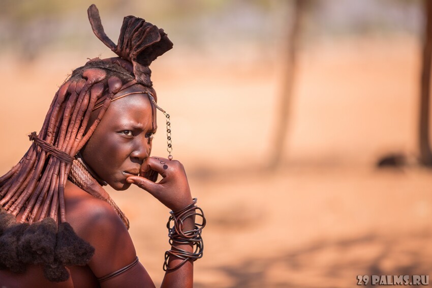 Намибия. Племя химба