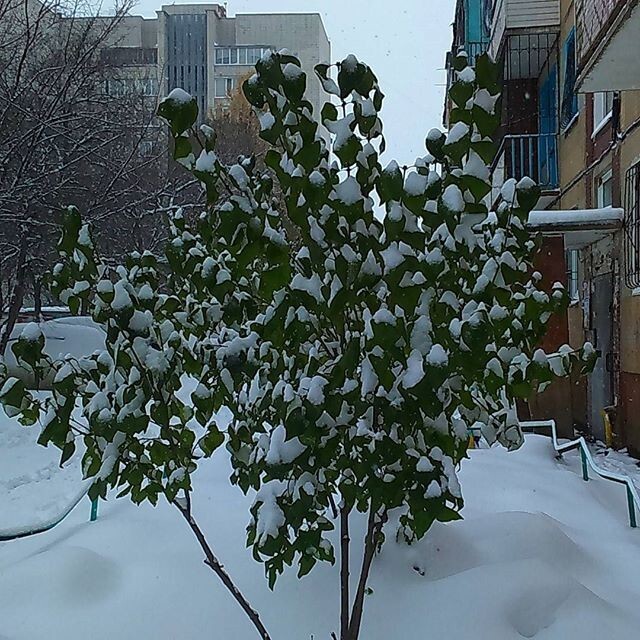 Как всегда не ждали! Зима подкралась незаметно!