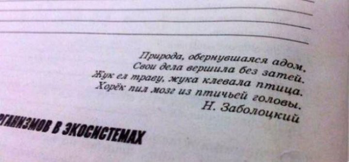 19. Немного тлена от составителей рабочей тетради по биологии.