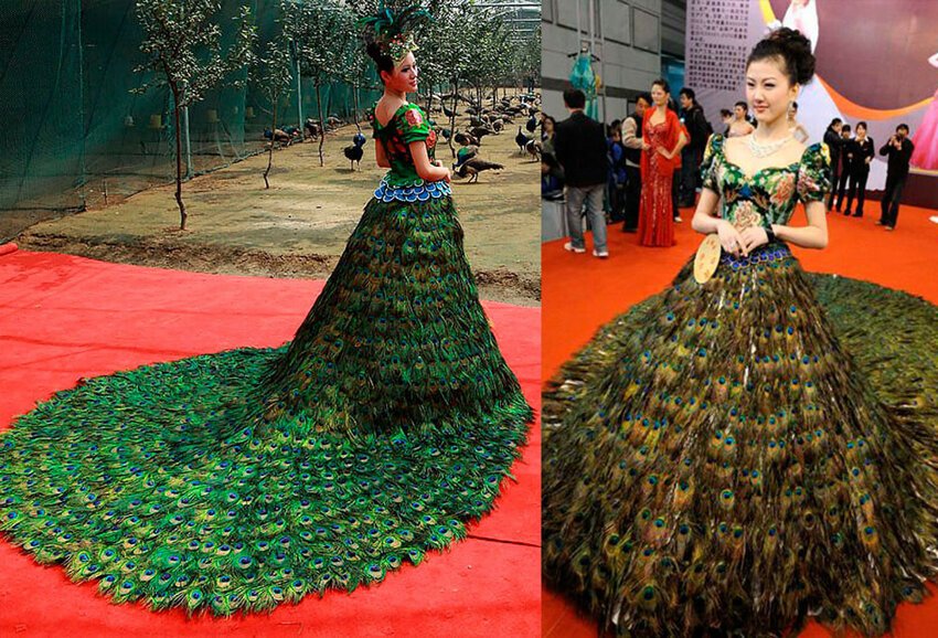 1. Свадебное платье из 2009 перьев павлина за 10 миллионов юаней, или полтора миллиона долларов.