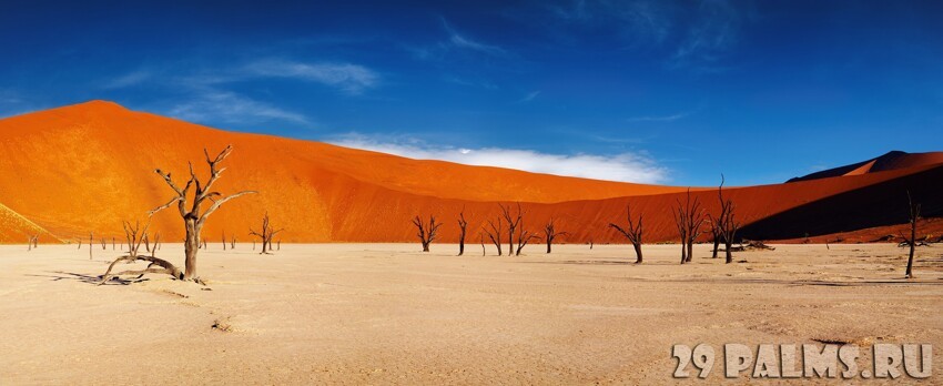 Намибия. Пустыня Намиб