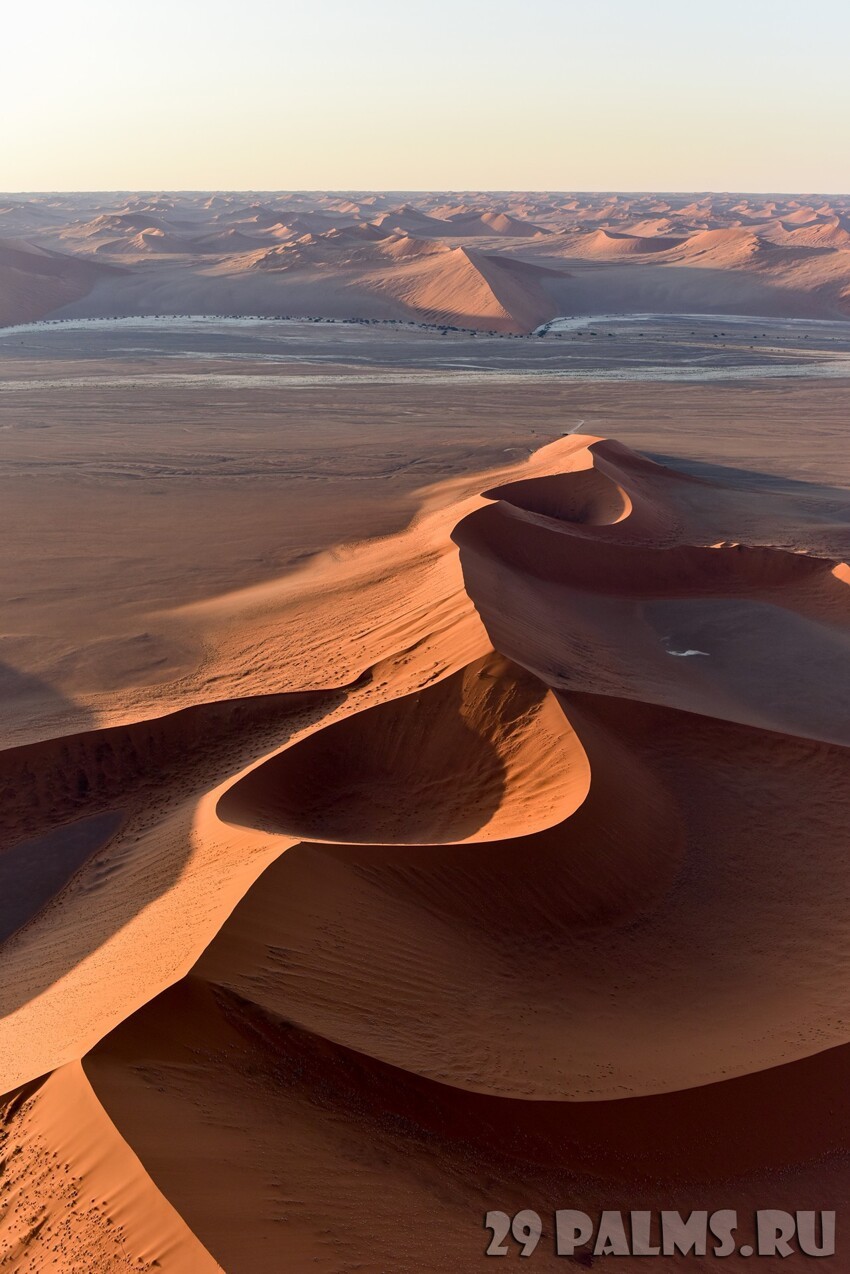 Намибия. Пустыня Намиб