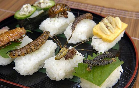 Только на родине японской кухни можно заказать суши и роллы с насекомыми. 