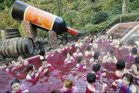 Бассейн наполненный вином. Билет в Японию, пожалуйста!