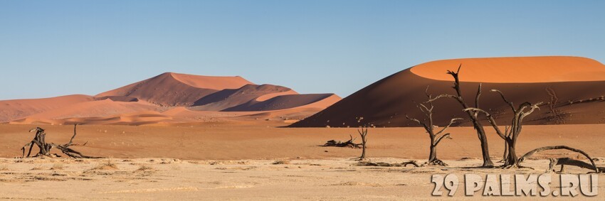 Намибия. Мертвая долина