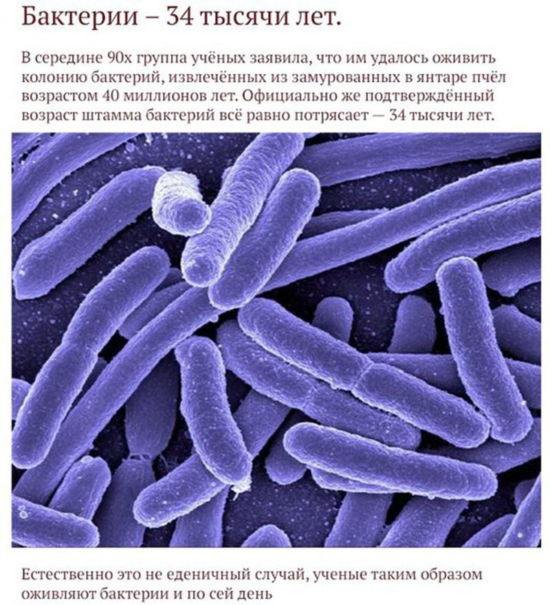 7 долгожителей нашей планеты