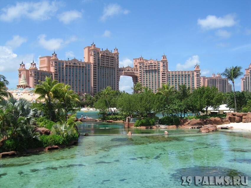 Багамские острова. Atlantis Paradise Island Bahamas