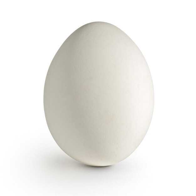 14. Яйцо