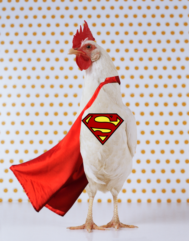 3. Курица-супергерой 