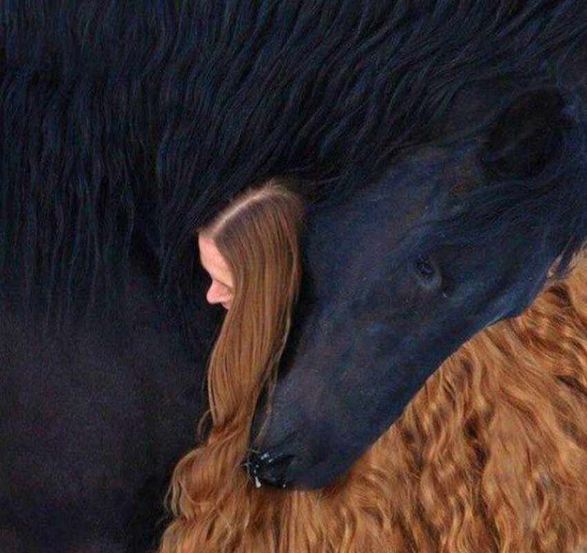 16. Девушка и лошадь.