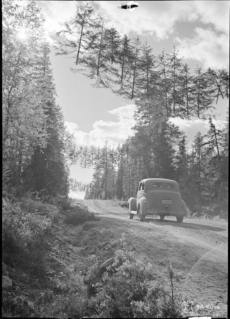 6. Камуфляж финской дороги в 10 км. от советской границы, 27 июня 1941 г