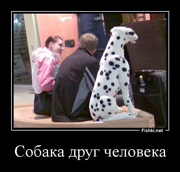 Собака друг человека