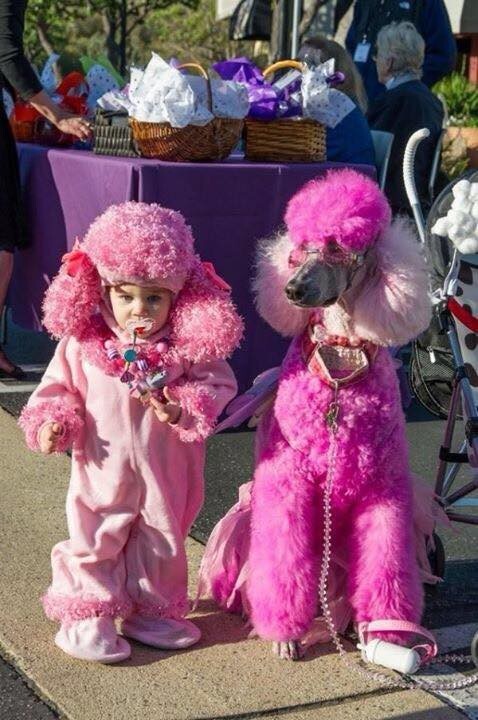 Хэллоуин, костюмы для детей и домашних животных