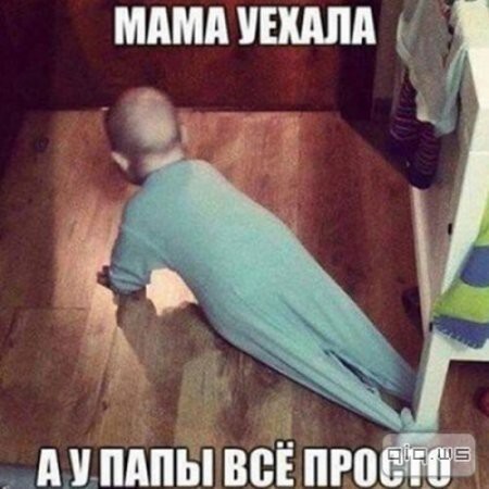 Приколы из сети