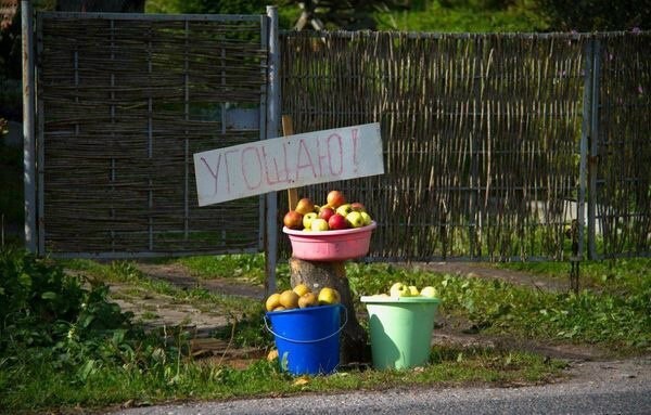 Смешные картинки с надписями