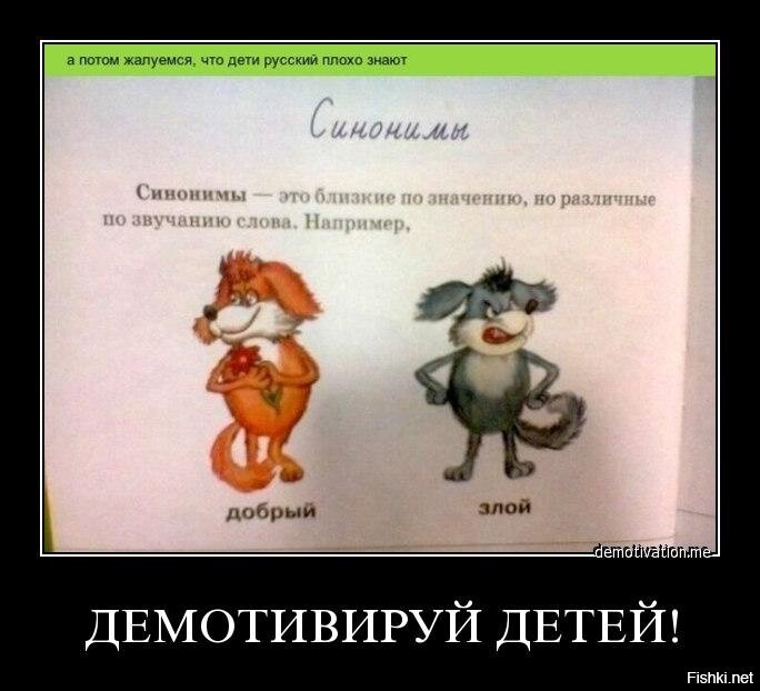 Из солянки