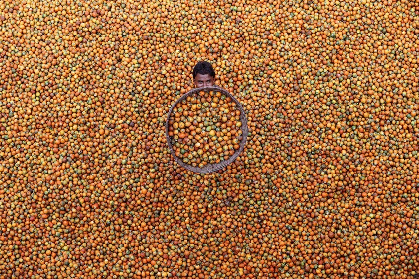 7. Поощрительный приз. Продавец бетельных орехов, Бангладеш. (Фото M. Yousuf Tushar):