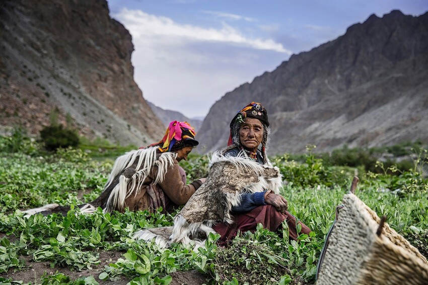 16. Женщины выращивают овощи на продажу на севере Индии. (Фото Tatiana Sharapova):