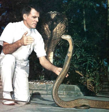 Житель Майами Билл Хааст, известный как “Человек змея”, перенёс больше 170 укусов 