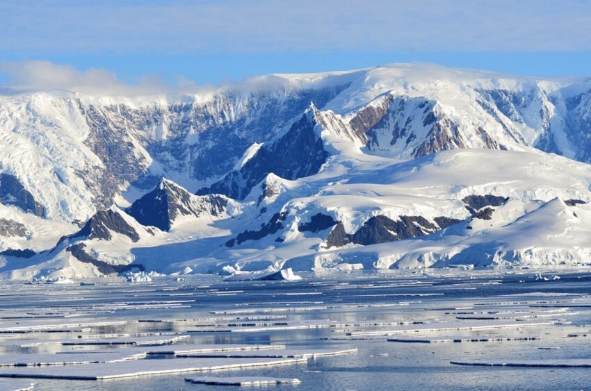 Арктика. Антарктида