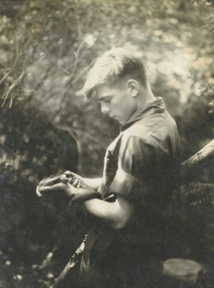 Житель Майами Билл Хааст, известный как “Человек змея”, перенёс больше 170 укусов