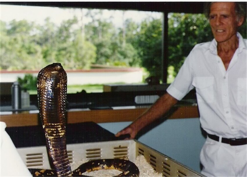 Житель Майами Билл Хааст, известный как “Человек змея”, перенёс больше 170 укусов