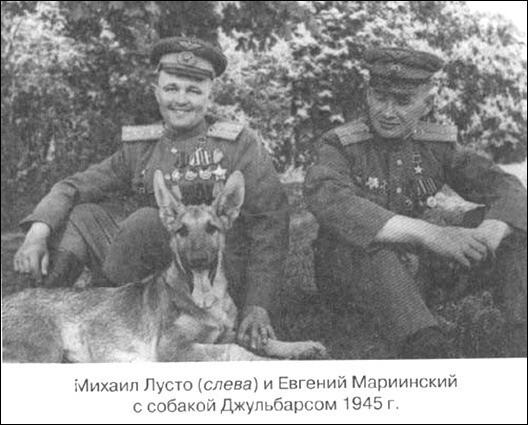 Собаки — участники Великой Отечественной Войны