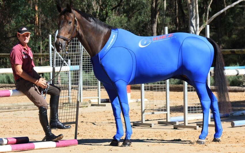 Компрессионная одежда для лошади 