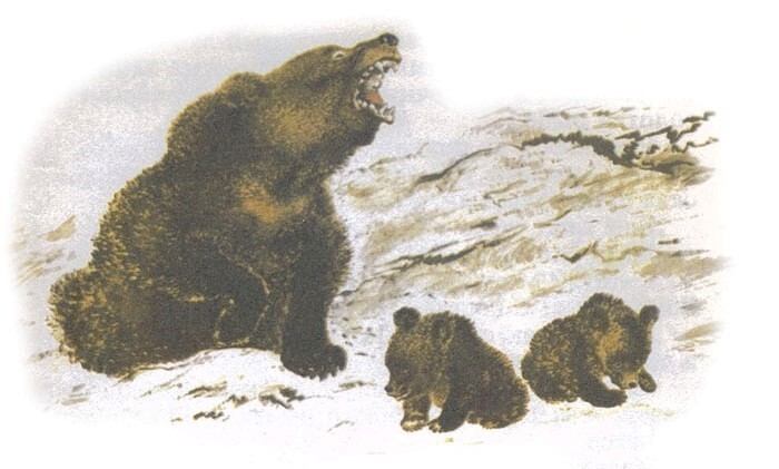 Медвежья горка
