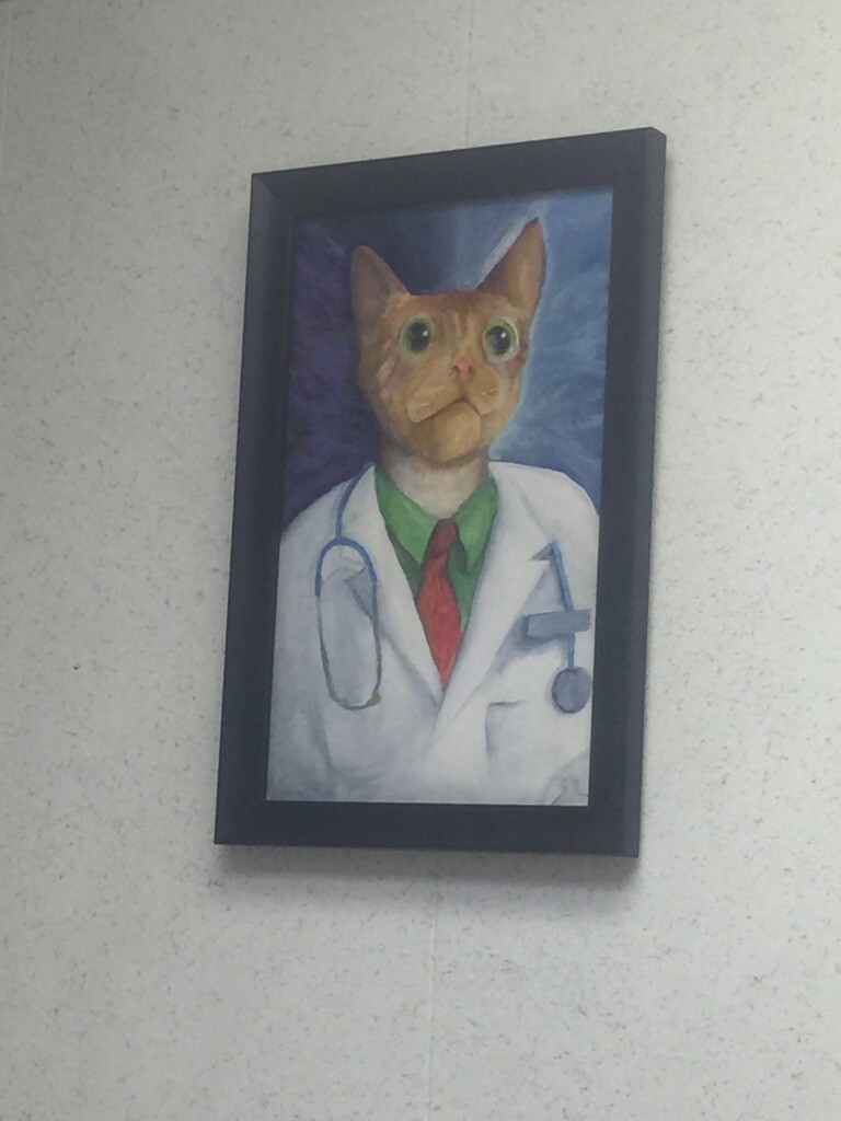 Забавный портрет кота-врача