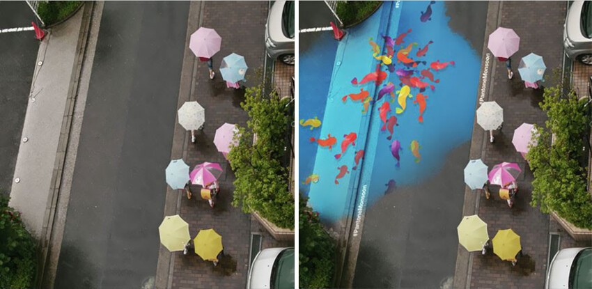 Эти цветные картины проявляются на асфальте только во время дождя