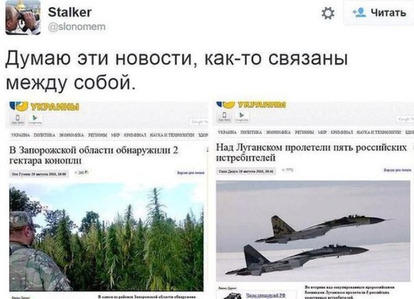 7. О том, как создаются новости в Незалежной.