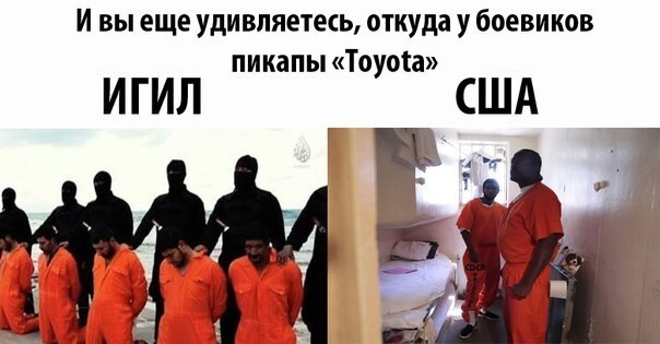  3. О том, как приходиться выживать "умеренным сирийским террористам".