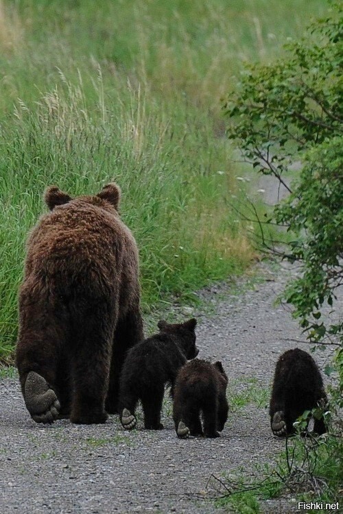 Одни пятки сверкают