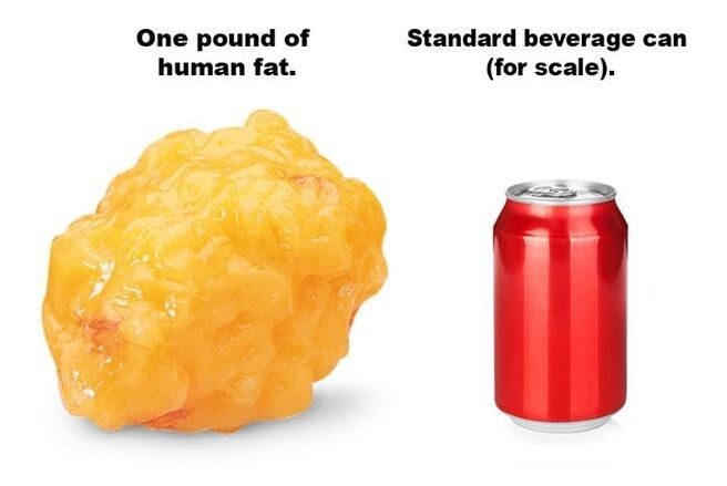 3. Один килограмм человеческого жира содержит примерно 7000 калорий.
