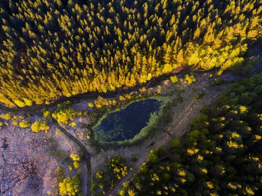 Свет и тень