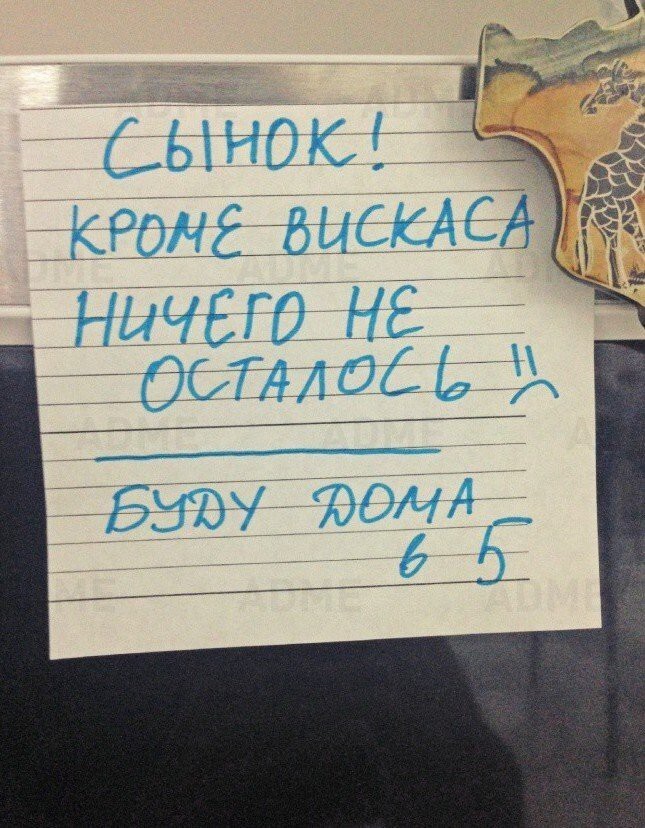 Смешные записки на холодильнике