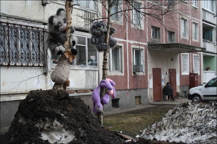  Ужасы российских дворов