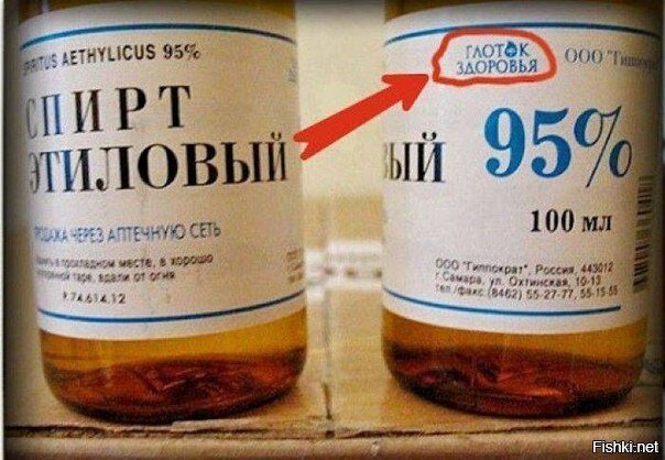 Из солянки
