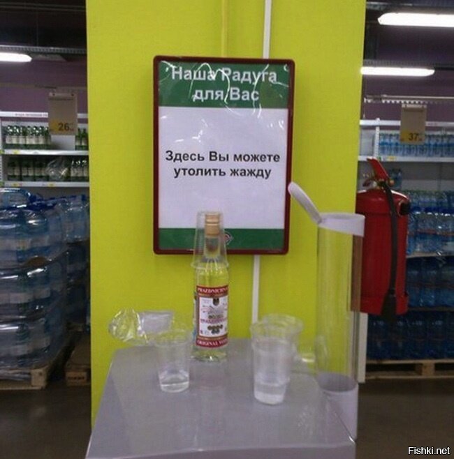 Из солянки