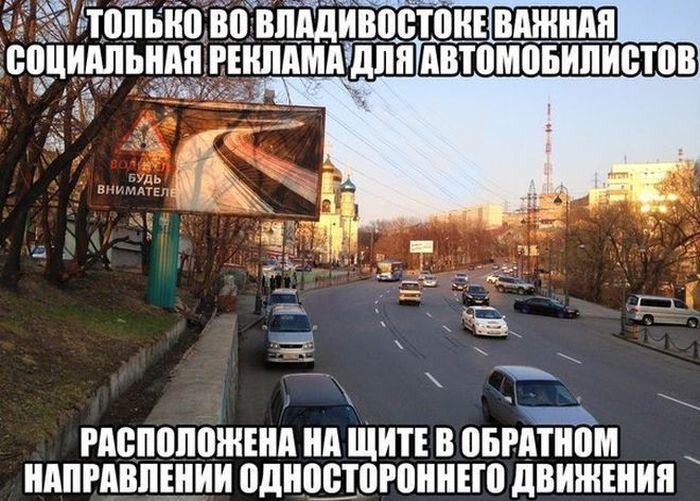 Прикольные картинки