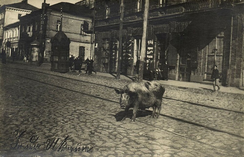 13. Житомир, 1918