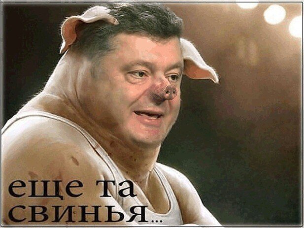 Французские СМИ о Порошенко.