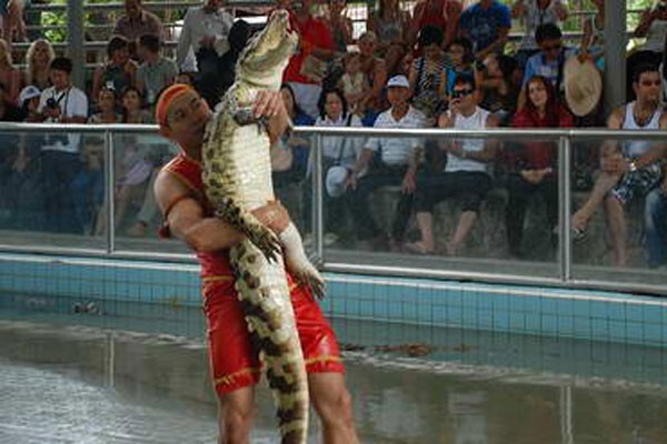 3. Борцы с крокодилами