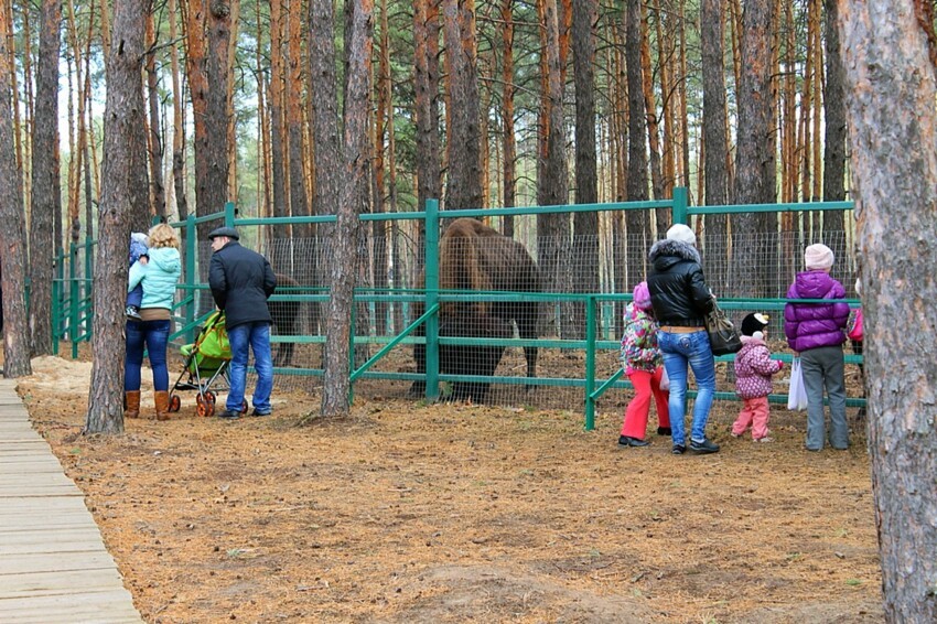 Червленный Яр