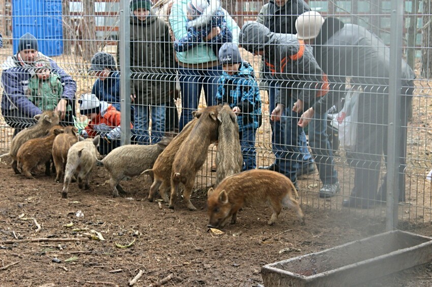 Червленный Яр